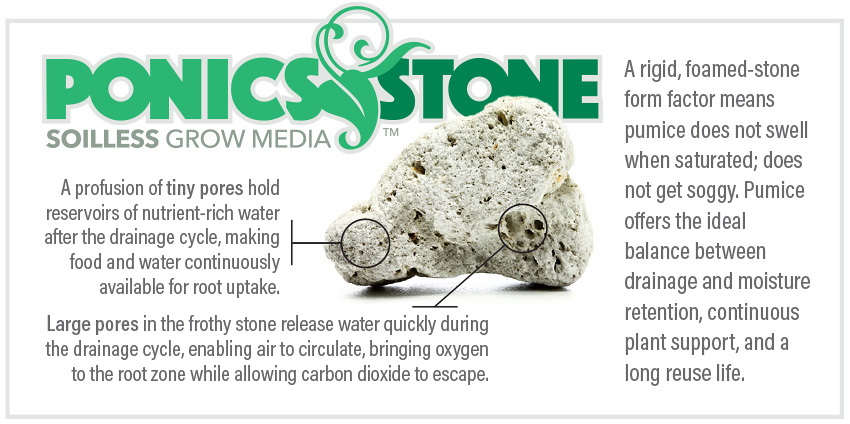 ponics stone form factor infographic